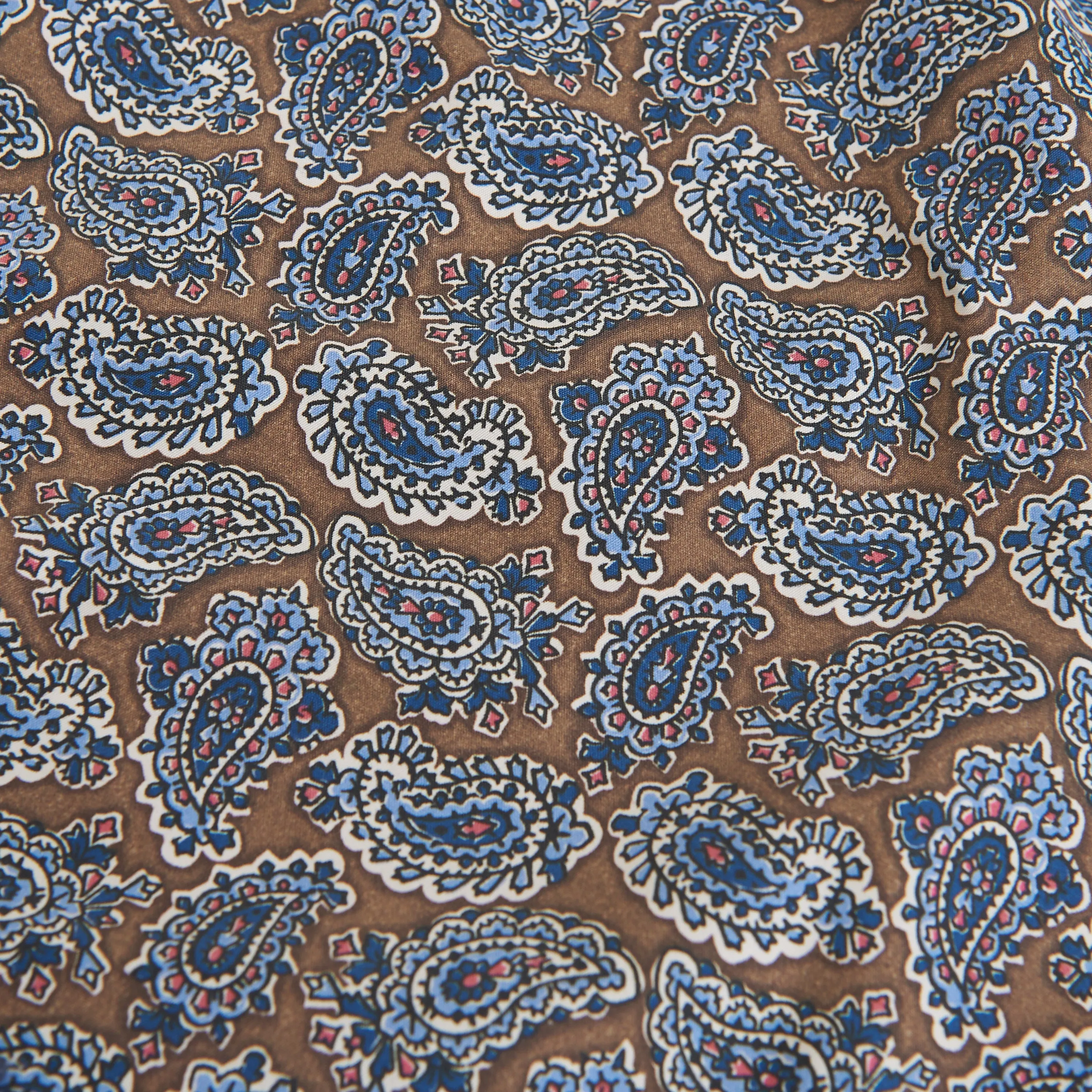 Bay Brown Swim Shorts - Paisley Print