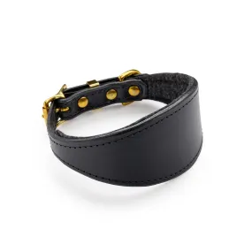 Fox x Storeys & Tails Dark Chocolate Sight Hound Collar