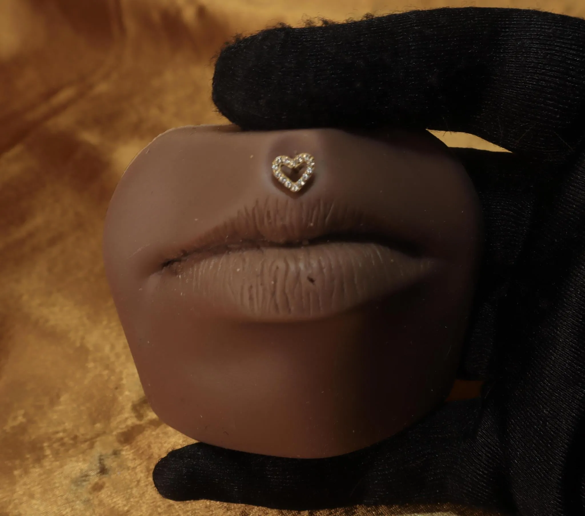 Trendy titanium Heart Shaped Lip labret Ring